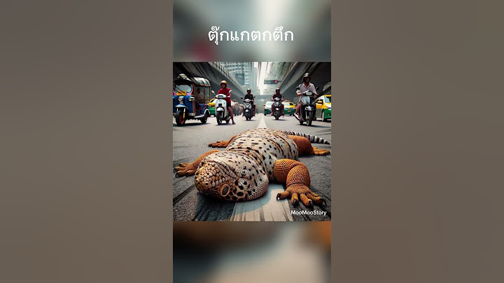 ตุ๊กแกยักษ์ตกตึก#ตึกสูง #เมือง #city #ตุ๊กแก #video #animals #ตลก #เรื่องแปลก #funny #เรื่องสั้น