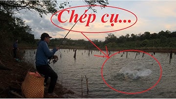 Câu Lục Bo Cứng lên CHÉP CỤ chưa đầy 1 phút | Gặp lại Đài thủ Quỳnh sát cá