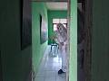 iiih serem banget hantu nongol di pintu‼️#trending