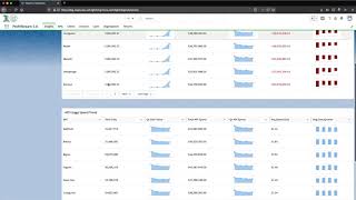 Monetization Engine for the API Economy - ProfitStream Overview   Salesforce v1 2