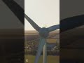 Wind Turbines: A Bird's Nightmare?#WindTurbines #BirdConservation #renewableenergy