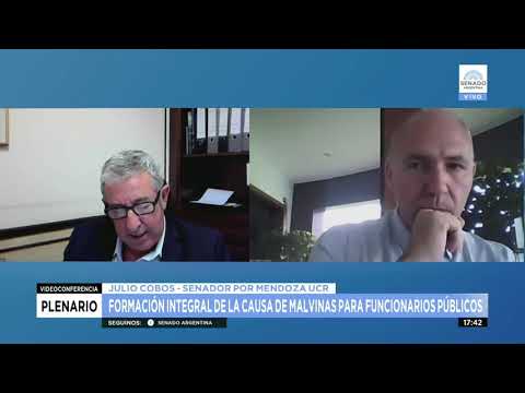 SENADOR JULIO COBOS - PLENARIO 24-11-21