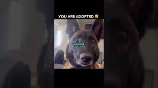 YOU'RE ADOPTED 🤯🤯