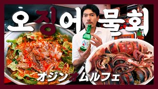 【상도맛집】이건 드라마가 아니다. 리얼 “오징어 게임” 지금 시작하겠습니다『고독한 오징어물회』(KOR/JPN sub)