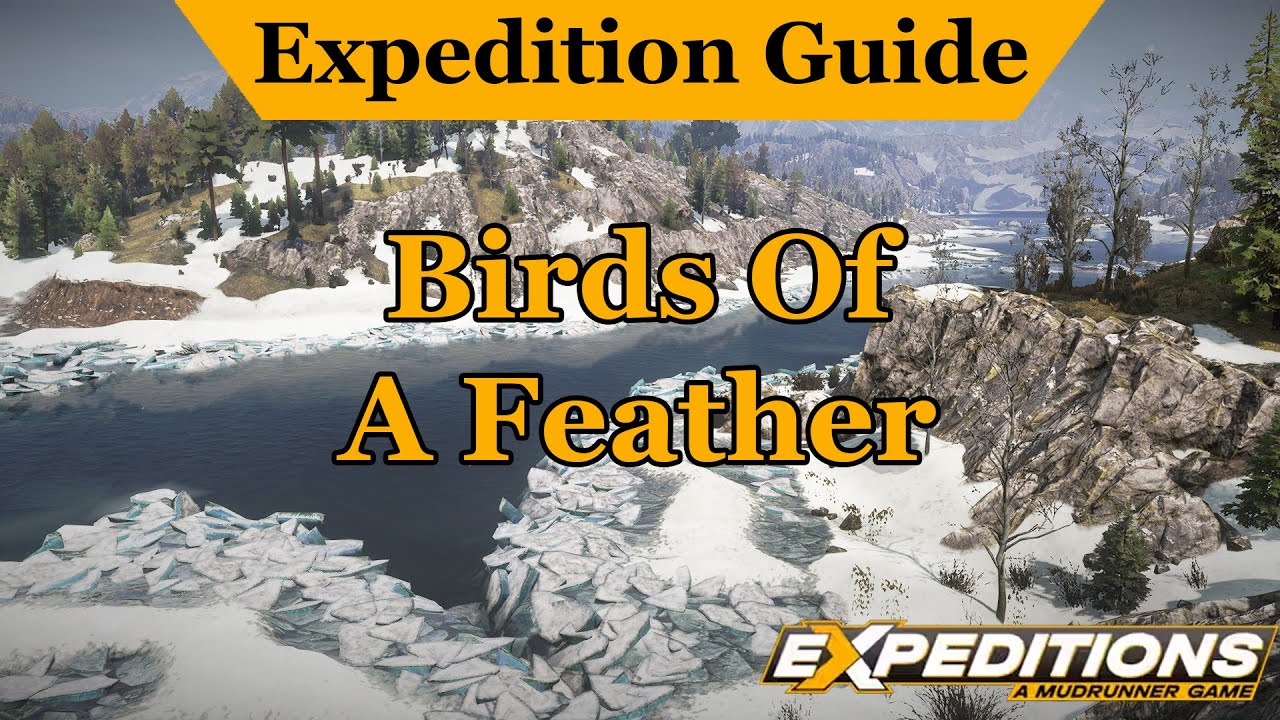 Birds Of A Feather: An Expeditions Guide