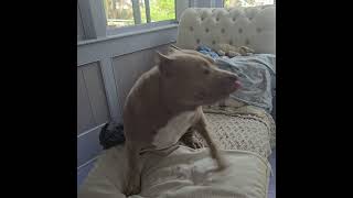 Precious Strange Behavior #1