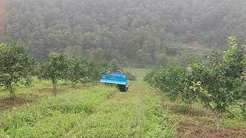 máy cắt cỏ trục băm cắt đồi dốc