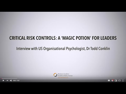 Critical Risk Controls:
