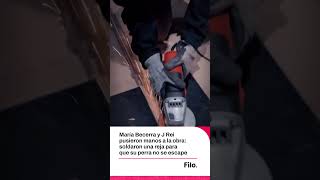 María Becerra soldó una reja con J Rei para que no escape su perra