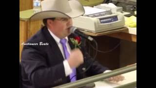 auctioneer beats 6