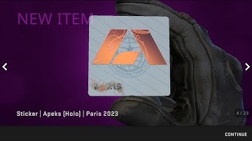 My $100 CS2 Investment