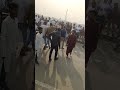 Babri masjid frist dey vew#babrimasjid #unfrezzmyaccount #islam