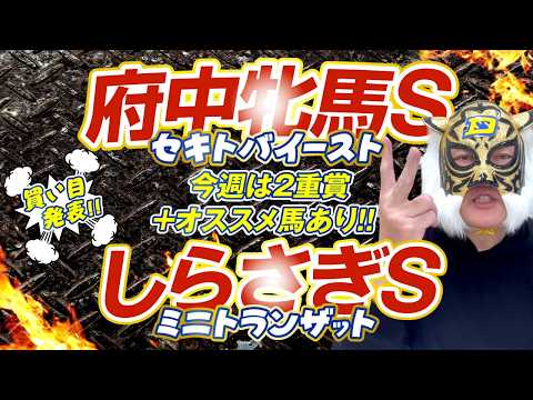 【府中牝馬S 2026】【しらさぎS 2026】デイリーマスク（仮）のガチ予想！〜ボディスラムじゃダメですか？ #競馬 #競馬予想 #keiba #推奨馬 #デイリーマスク（仮）
