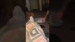 Blanket-Covered Dog Disapproving Owner’s Pokes