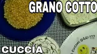 Cuccia. Grano Cotto, Per S.lucia Valledolmoper Pastiera By Jovy Giovy