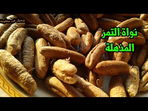 نواة التمر اكثر من 10 فوائد فى بذرة البلح المعجزة للصداع ومقاومة الفيروسات والكثير