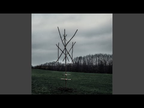 Wiegedood — Prowl