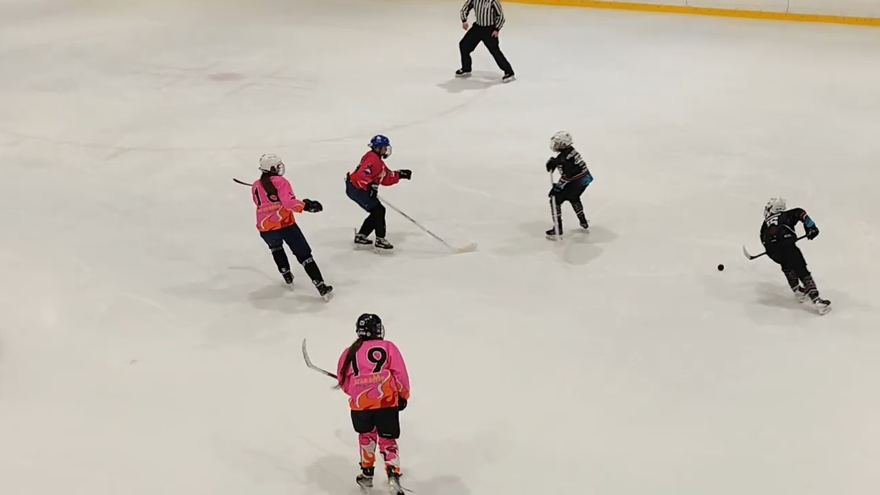 AV18 Mrak x Slovinsko26.12.2025