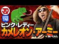 ピンク・レディー『カメレオン・アーミー』弾いてみた♪ pink lady 핑크 레이디 粉红女郎【ギター TAB 練習曲】
