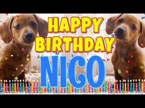 Happy Birthday Nico Funny Talking Dogs What Is Free On My Birthday