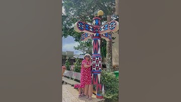 🌸 Thanh xuân… là những chuyến đi.|360Go - Niềm vui trên mỗi chuyến đi!