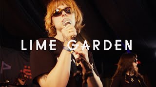 Lime Garden - Pine (Green Man Festival | Sessions)