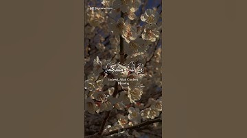 ان الله وملائكته يصلون على النبي || بصوت القارئ عبدالرحمن مسعد || #ذكر #holy_quran512