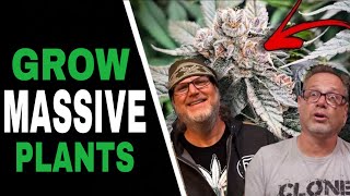 Growing Massive Roots and Healthy Plants Got Easy Once I Knew This