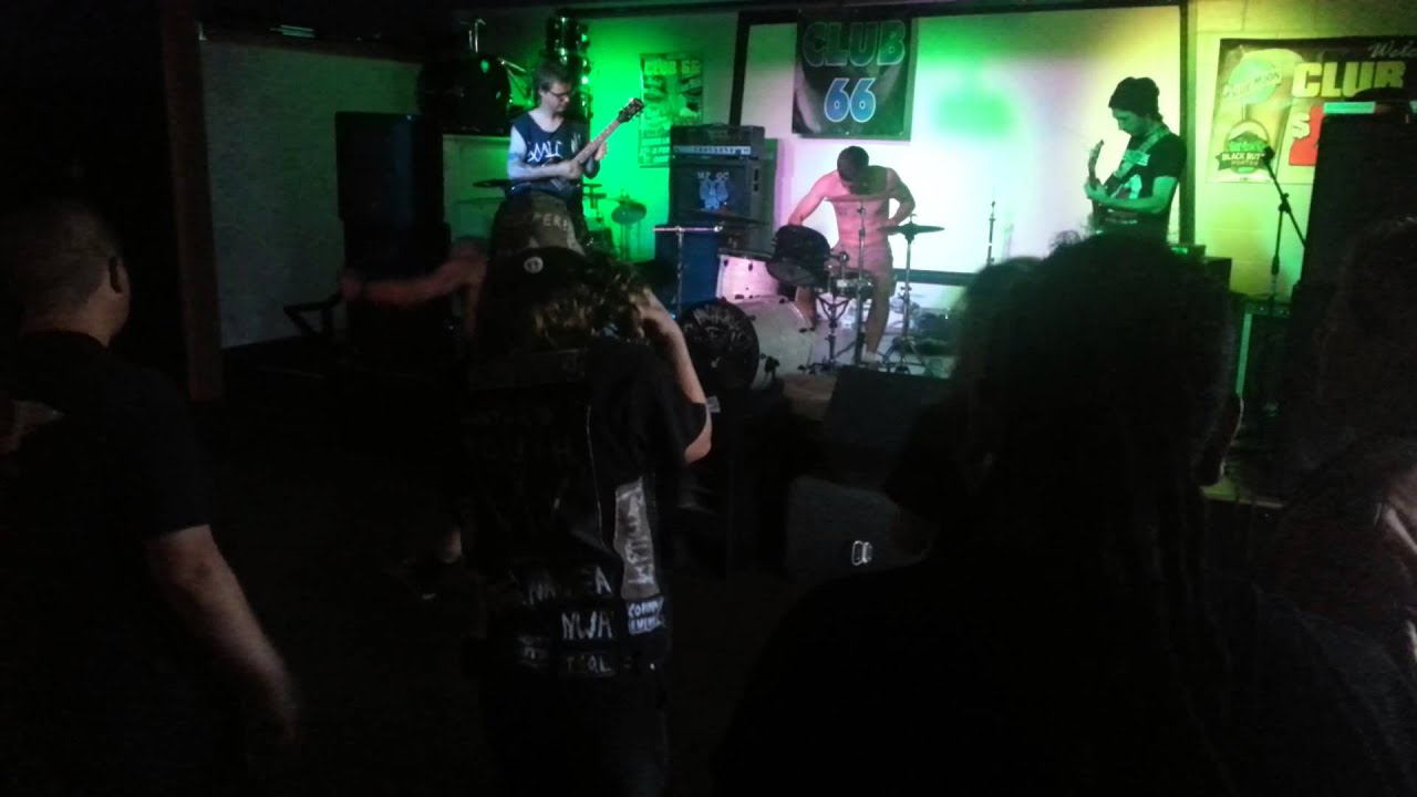 RKC (Roadkill Carnivore)