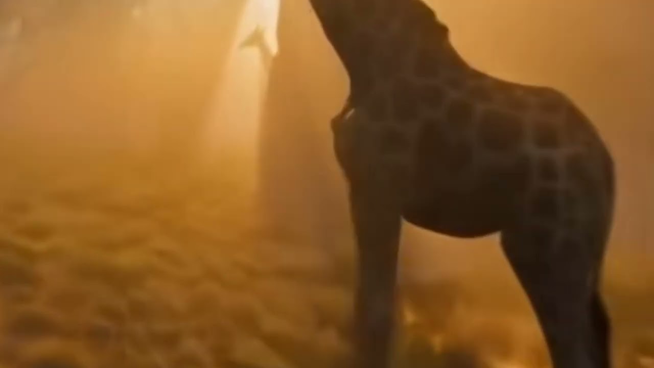 AT THE CROSS (Official Music Video) - Powerful Afro Gospel / Afrobeat Worship 2025