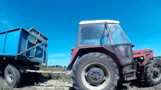 Silage 2015