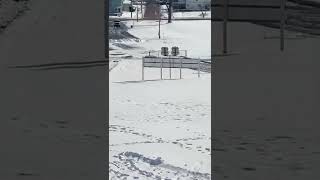 Winter has officially arrived in #WNY. This is our local sledding hill in Jamestown 11/18/2022 #jtny