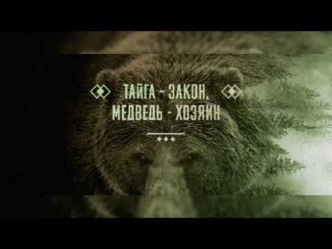 Гио пика Мать Тайга 2022