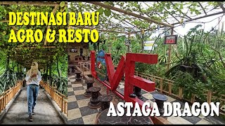 Download lagu DESTINASI BARU!! KEBUN ASTAGA DRAGON BANYUWANGI