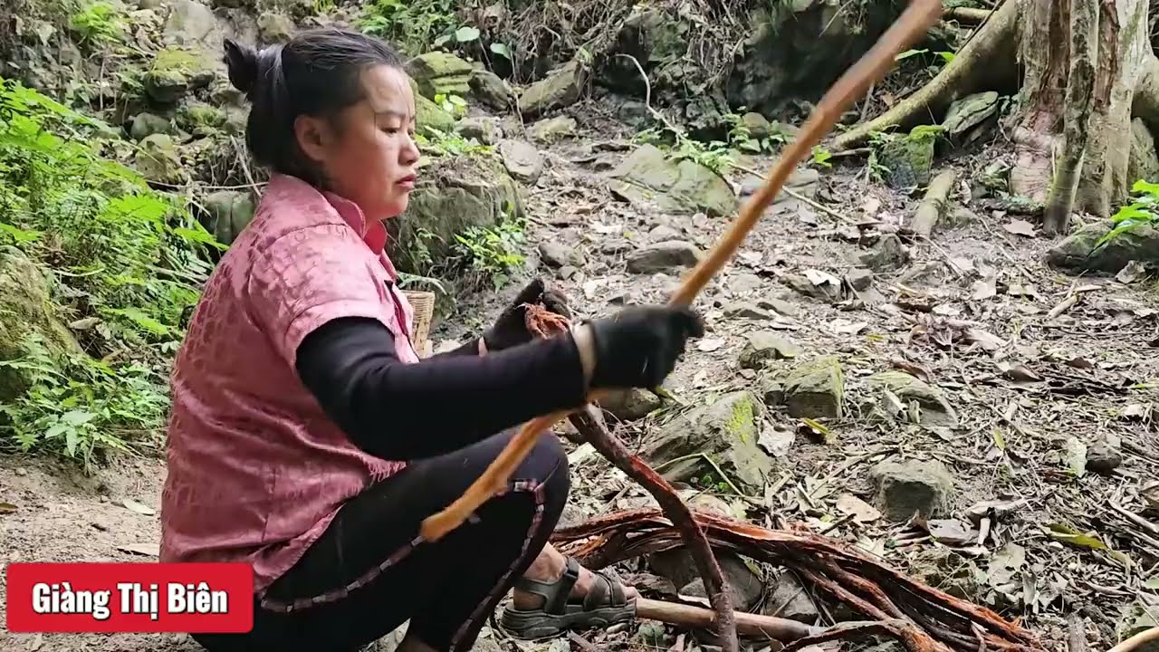 Harvesting Many Big Banana Bunch & Goes to Market Sell  | Bien Giang Family