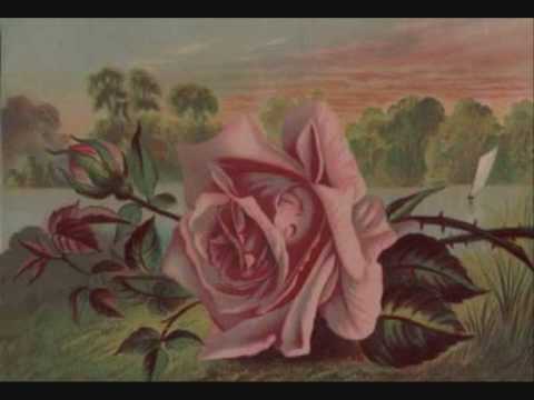 Don Williams - The Rose / Now With Lyrics