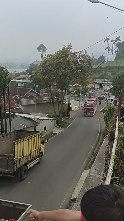 Basuri cit cit cuit nih enak 🤣 #bus #basuri #busmania #shorts #subscribe