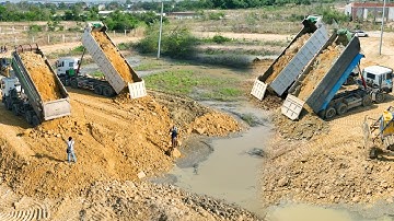 The Best Work Dozer SHANTUI Push And Clear With DumpTruck DONGFENG SCANIA Unloading Land