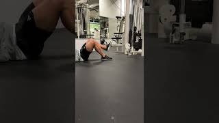 Single leg cable reverse squat