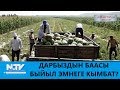 ДАРБЫЗДЫН БААСЫ БЫЙЫЛ ЭМНЕГЕ КЫМБАТ? \\ АЙМАКТАРДЫ АРАЛАП