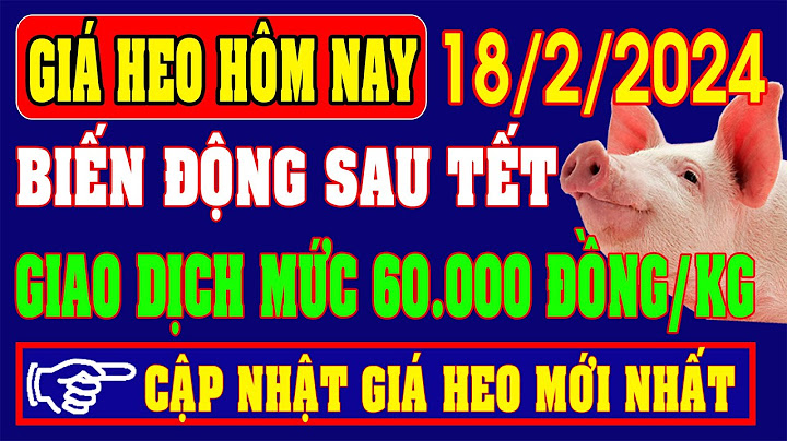 Giá heo hơi bình định hôm nay bao nhiêu năm 2024