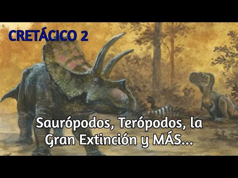 Video: ¿Qué parte de los ornitópodos es el premaxilar?