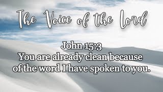 John 15 :3 The Voice of the Lord   July 4, 2021 by Pastor Teck Uy