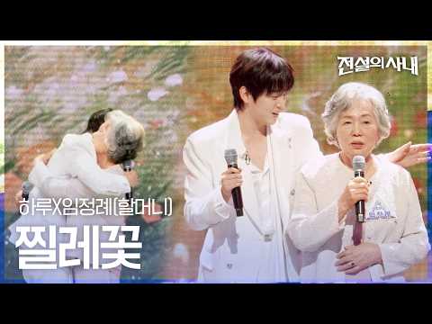Haru Family - Wild Rose | The Legendary Man Episode 5