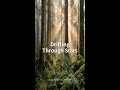 【1分】リラックス集中 Chill Ambient ☕ #shorts #作業用BGM
