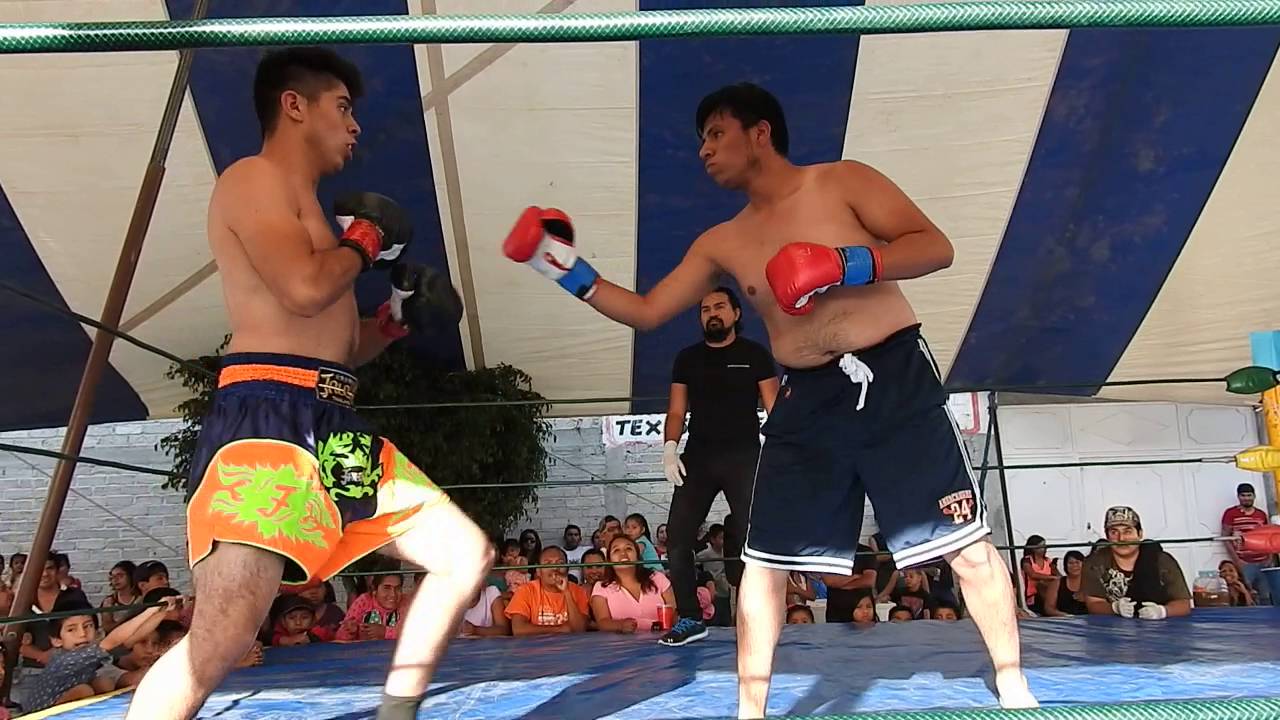 Instituto Romano de artes marciales mixtas 