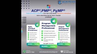 Simulator ACP, PMP, PgMP | Blue Peaks Consulting | Exam Prep