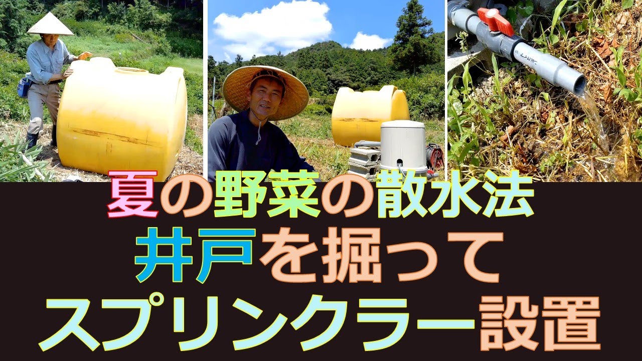 夏の畑の散水方法 井戸を掘って スプリンクラーをまわす Youtube