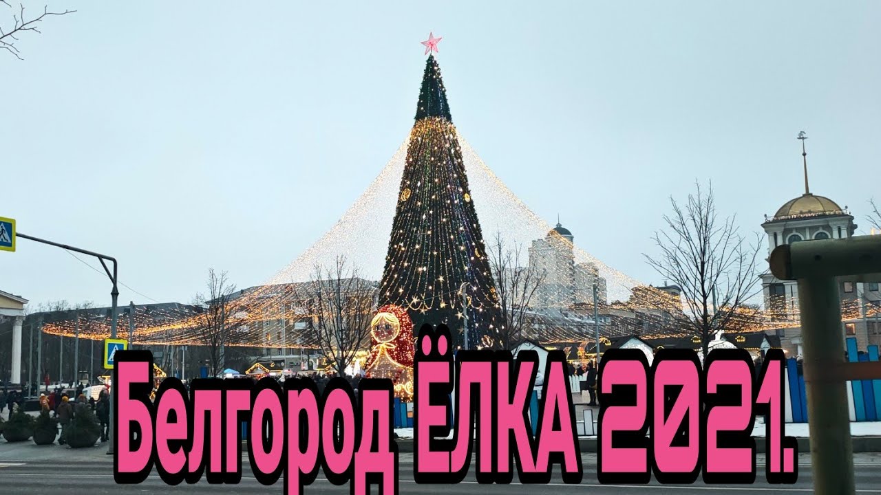 Елка в белгороде 2023 на площади Елка в белгороде 2023 на площади