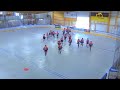 2024 World Ball Hockey Championship: Great Britain Women vs. USA Women (Group Play)